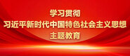 中国大陆黄色操逼视频学习贯彻习近平新时代中国特色社会主义思想主题教育_fororder_ad-371X160(2)